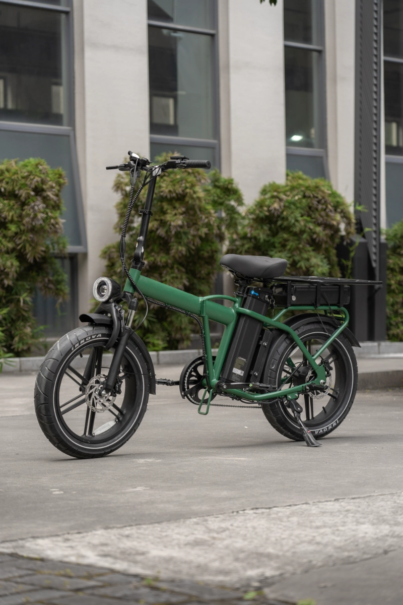 Lieferant von st&auml;dtischen Elektrofahrr&auml;dern f&uuml;r ma&szlig;geschneiderte Fat Tire Commuter E-Bikes