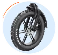 Beliebtes Fat Tire E-Bike