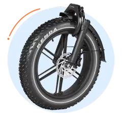 Beliebtes Fat Tire E-Bike