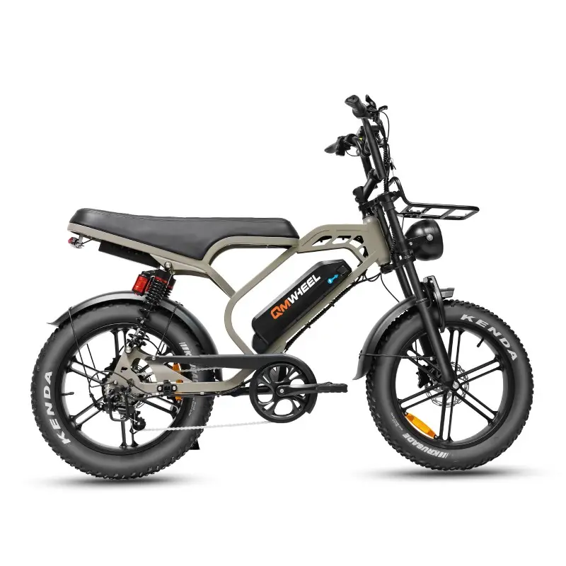 V20Limitiert