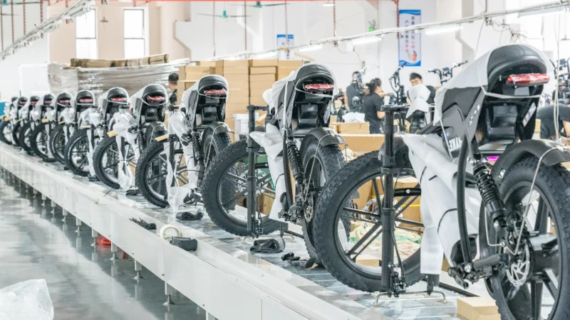 Hersteller von kundenspezifischen Elektrofahrrädern