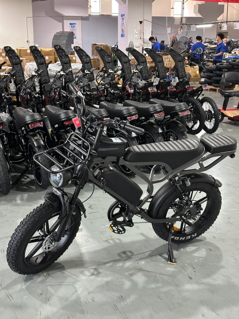 Langstrecken-E-Bike mit fetten Reifen Langstrecken-E-Bike mit fetten Reifen