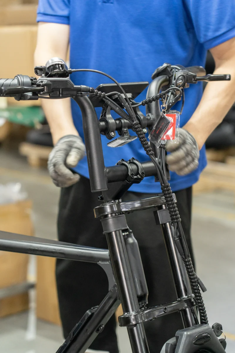 Kundenspezifisches elektrisches Mountainbike