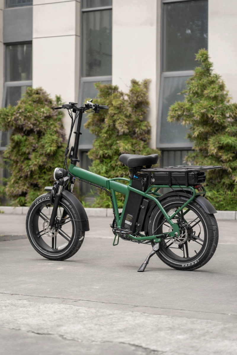 Urbanes Elektrofahrrad
