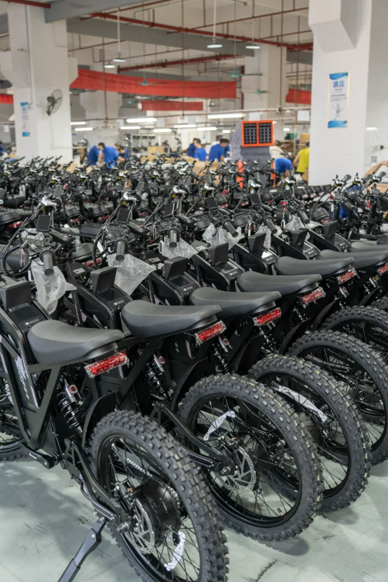 Doppelbatterie-Fat-Tire-Elektrofahrrad f&uuml;r Schotterstra&szlig;en und Outdoor-Abenteuer
