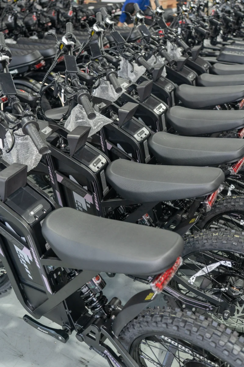 Doppelbatterie-Fettreifen-Elektrofahrrad