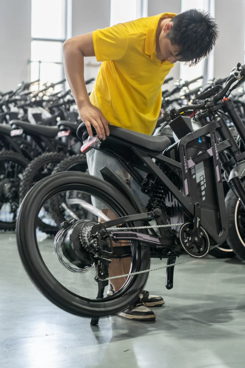 Doppelbatterie-Fettreifen-Elektrofahrrad
