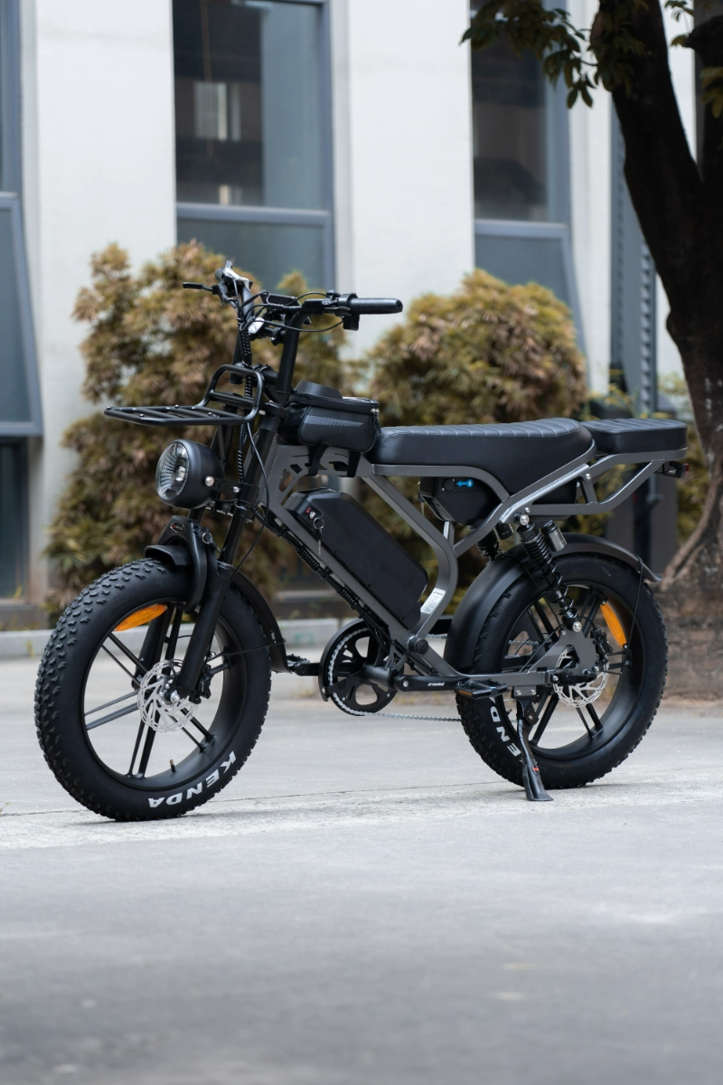 Wie kundenspezifische Fat Tire-Elektrofahrr&auml;der von OEMs Marken dabei helfen, Nischenm&auml;rkte zu erschlie&szlig;en
