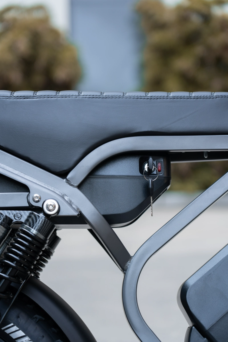Fat Tire Elektrofahrräder