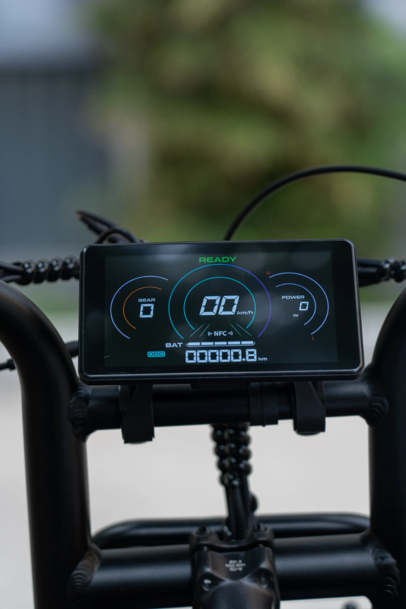 OEM Custom Fat Tire Elektrofahrräder