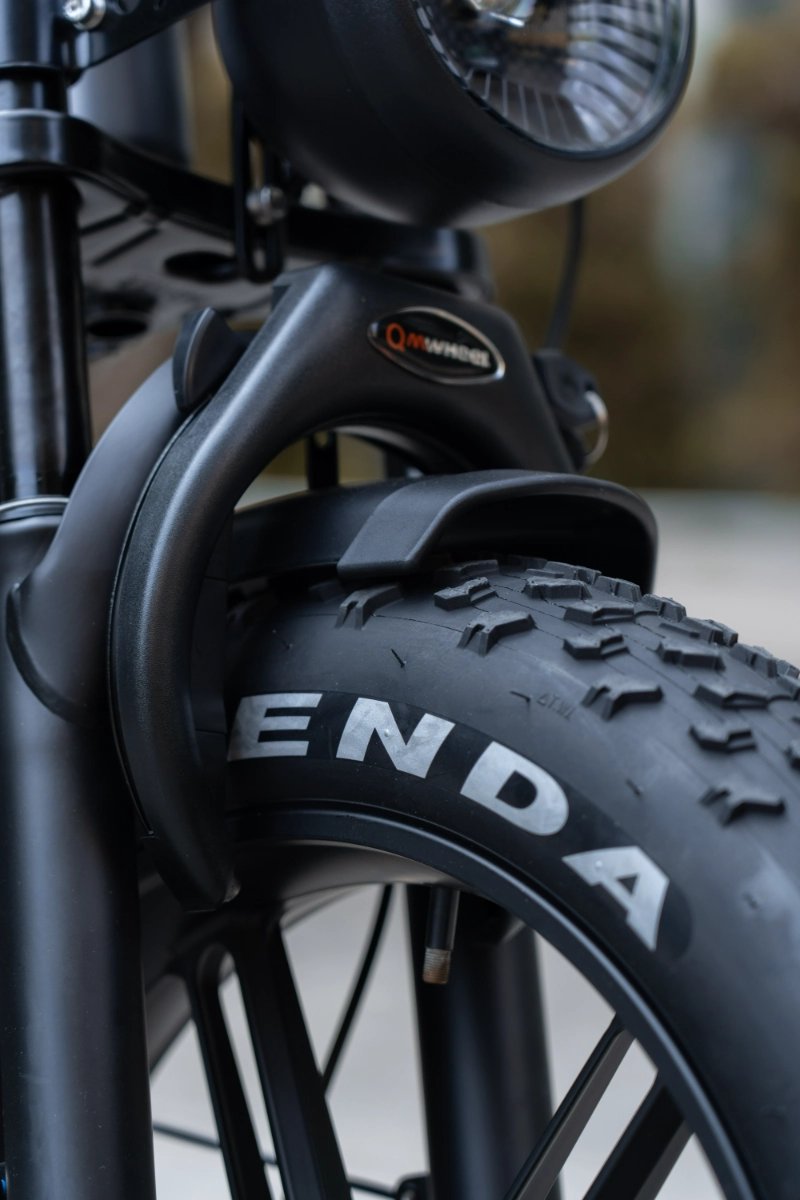 All-Terrain-Elektro-Fatbike-Design f&uuml;r Pendler und Offroad-Komfort