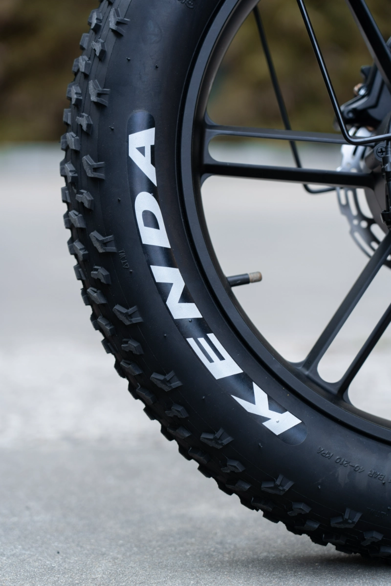 Langstrecken-E-Bike mit fetten Reifen Langstrecken-E-Bike mit fetten Reifen