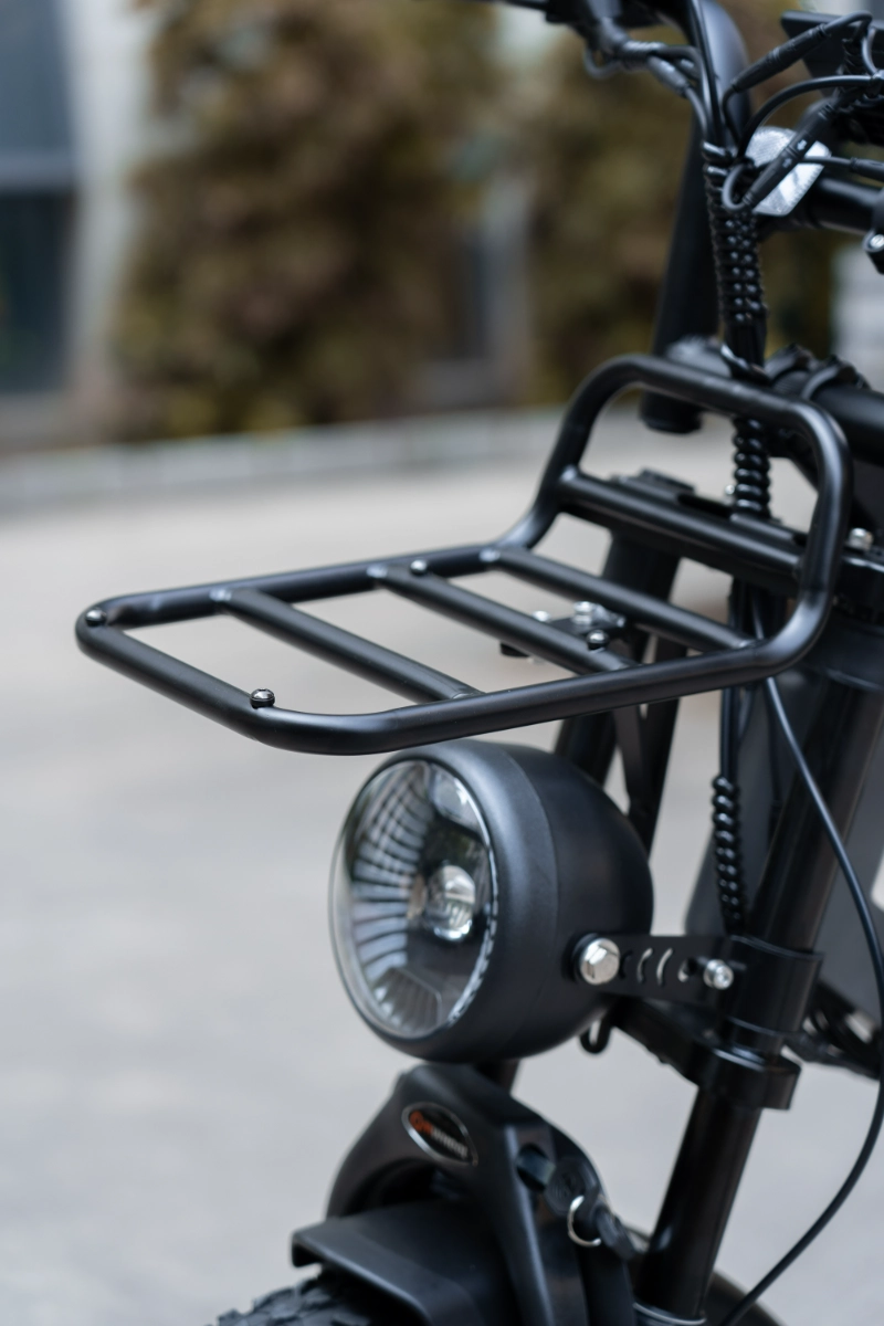 Langstrecken-E-Bike mit fetten Reifen Langstrecken-E-Bike mit fetten Reifen